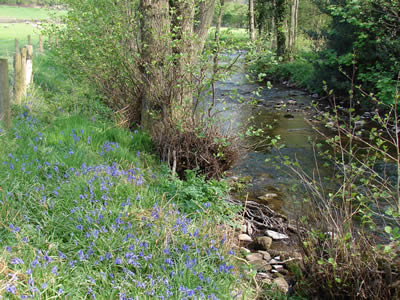 River Grwyne Fawr